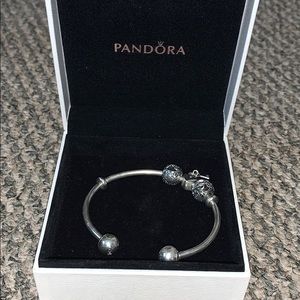 Pandora Bracelet (Charms Included)